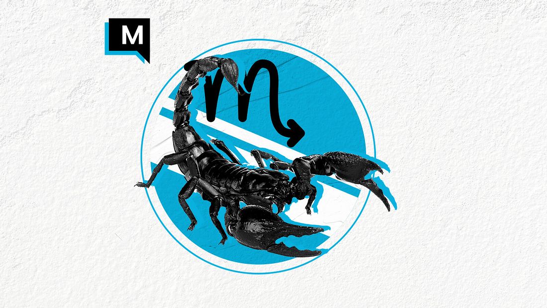 Skorpion (24.10.2021 – 22.11.2021) Skorpion (24.10.2021 – 22.11.2021)