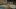 YouTuber springen auf Trampolin mit 1.000 Mausefallen - Foto: Screenshot YouTube/SlowMoGuys