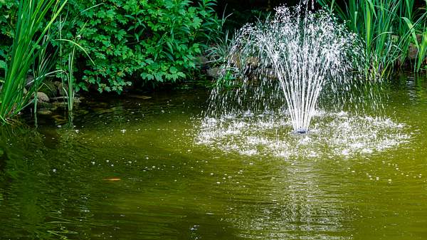 Eine Teichpumpe sprüht Wasser in einem Teich nach oben - Foto: iStock/Alexander Denisenko