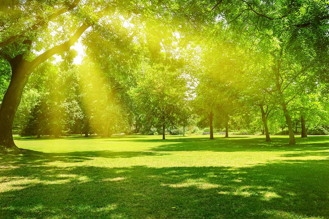 Sonniger Frühlingstag Sonniger Frühlingstag