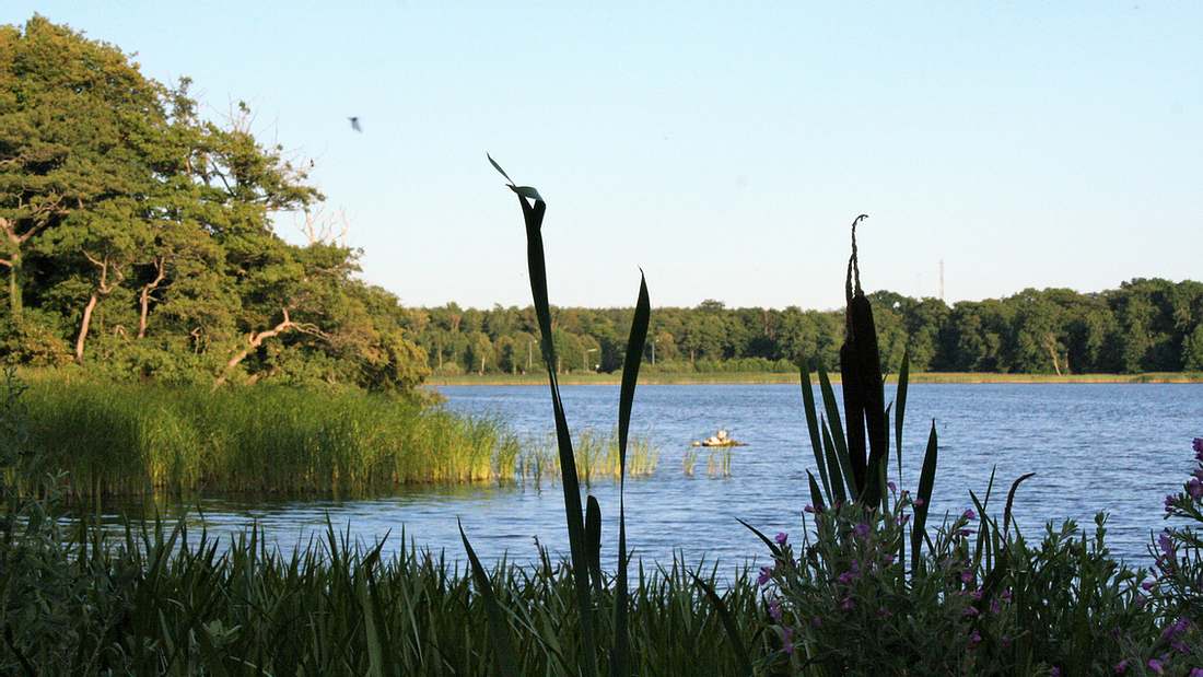 Badesee gesichtet