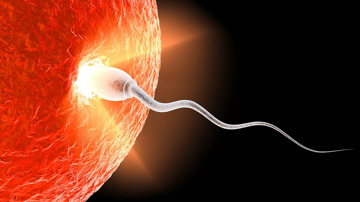 Oha: Westliche Männer verlieren Spermien