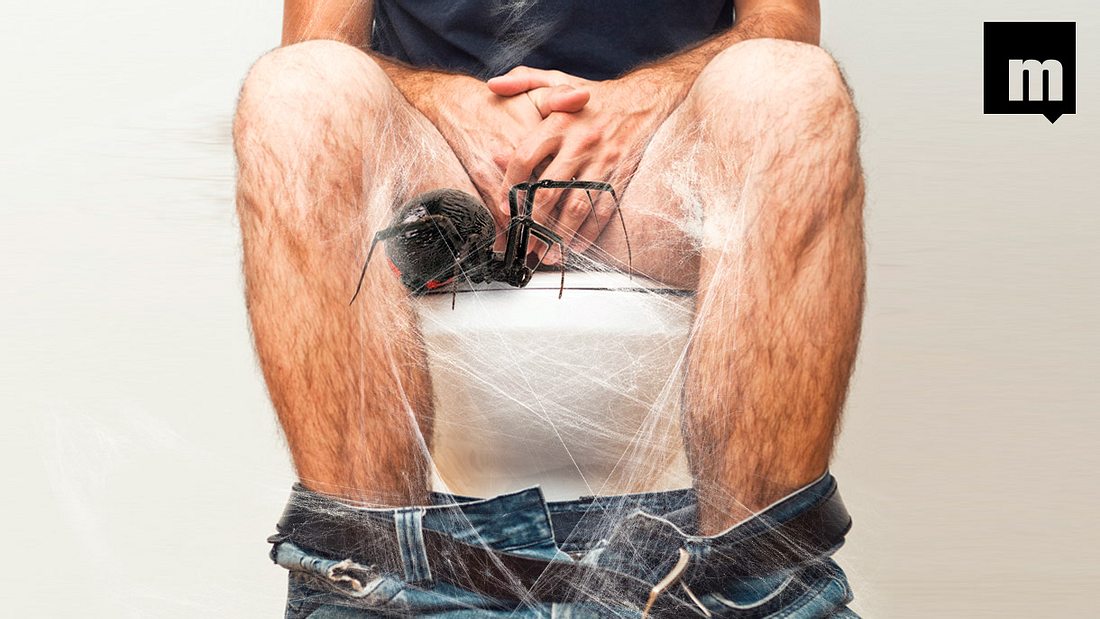Spinne beisst Mann in Penis