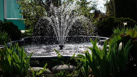 Ein kleiner Teich mit einem Springbrunnen in der Mitte im Garten - Foto: iStock/LegART