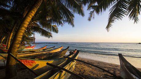 Strand in Sri Lanka - Foto: iStock / DavorLovincic