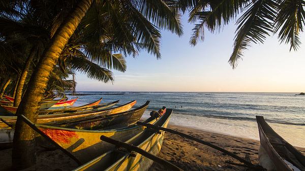 Strand in Sri Lanka - Foto: iStock / DavorLovincic