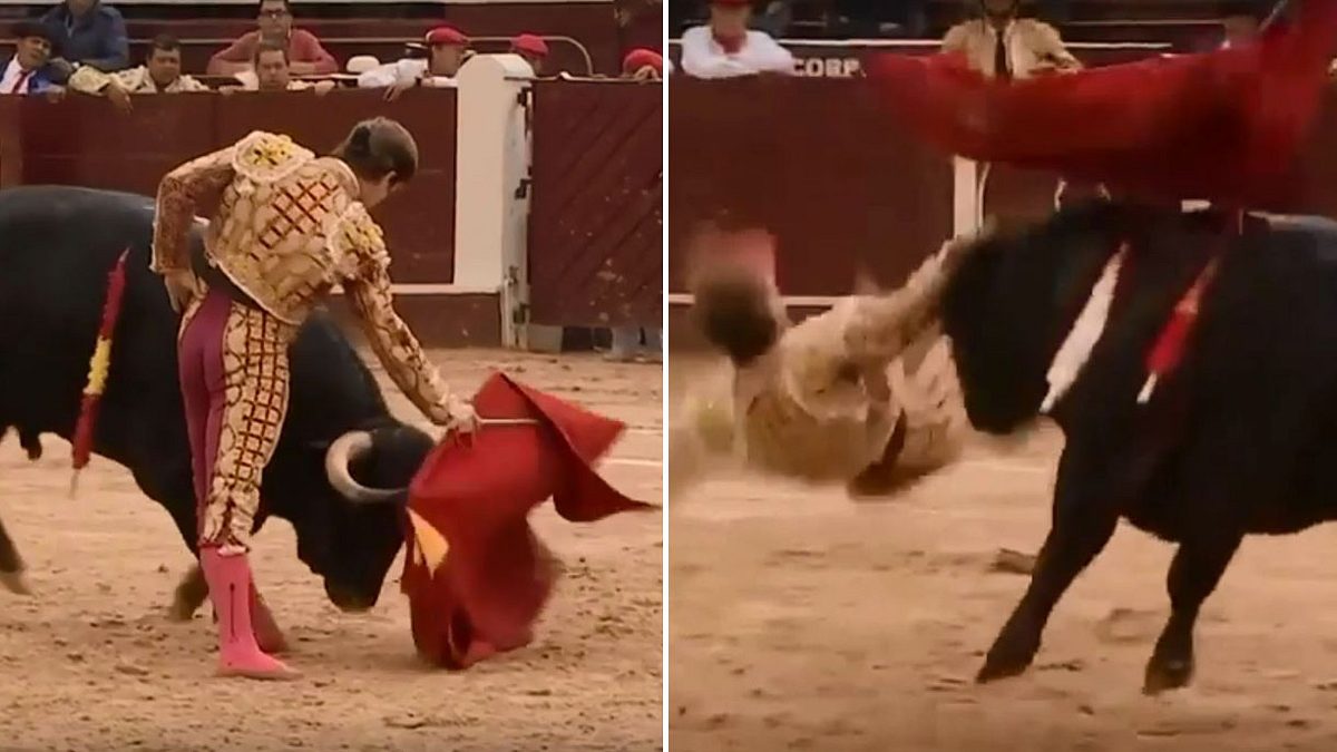 Matador wird von Stier an der schmerzhaftesten Stelle aufgespießt