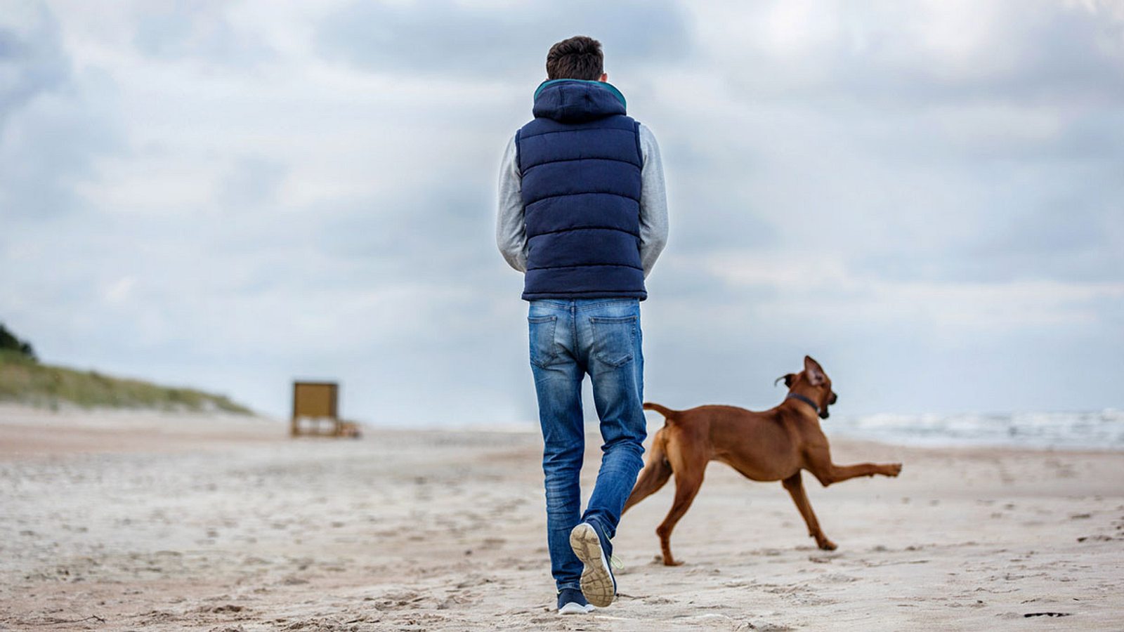 Urlaub mit Hund an der Ostsee Die 5 besten Locations Männersache