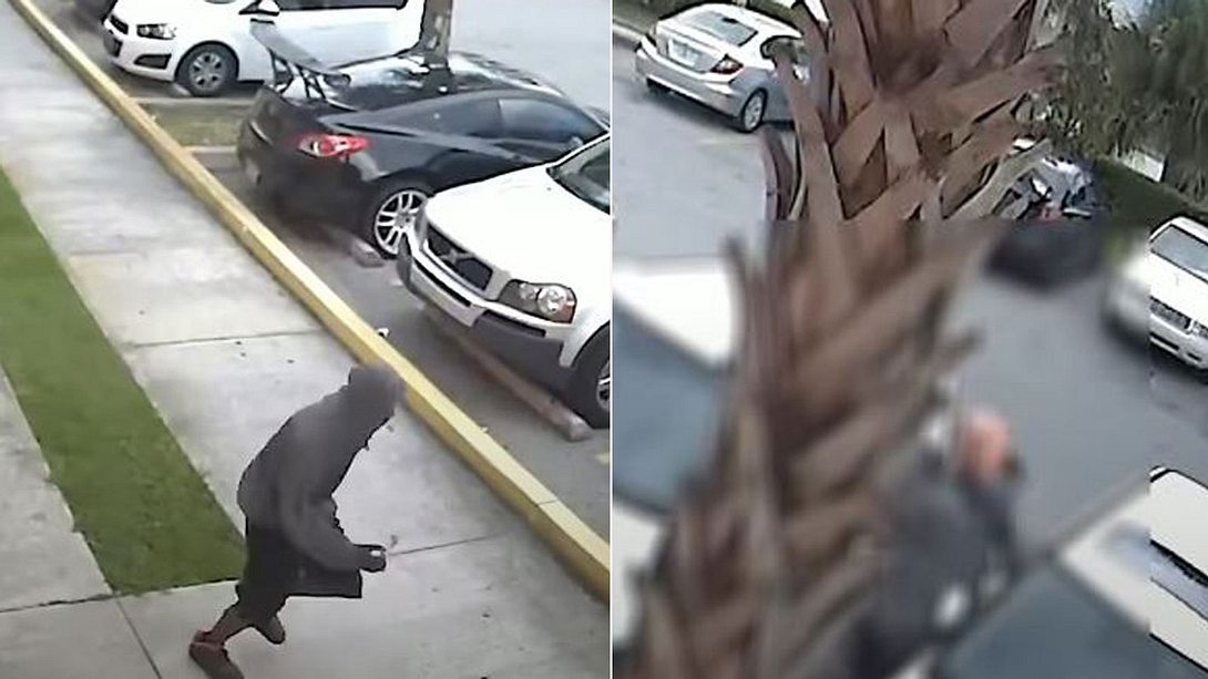 Überfall auf eine Mutter mit Kind - Foto: YouTube/ FOX 35 Orlando (Screenshot), Collage bearbeitet von Männersache