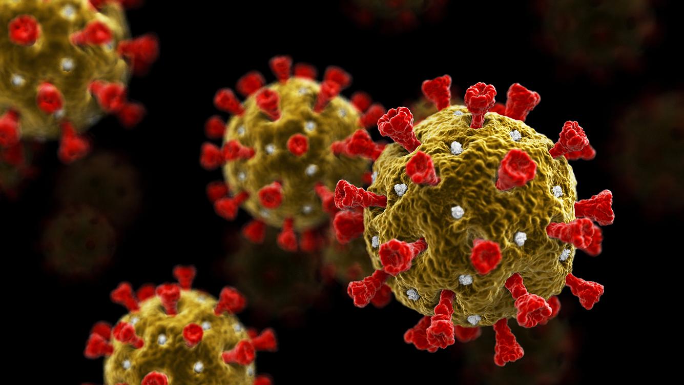 Schock-Studie: Coronavirus überlebt bis zu 28 Tagen auf Oberflächen Coronavirus