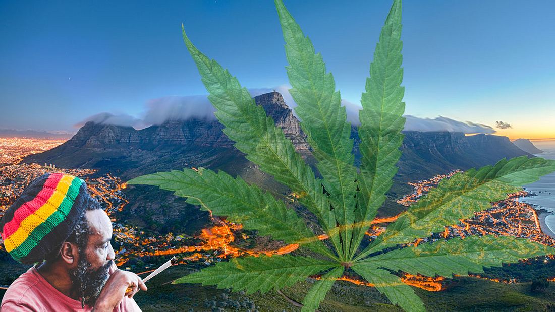 Südafrika erlaubt privaten Cannabis-Anbau und -konsum Südafrika erlaubt privaten Cannabis-Anbau und -konsum