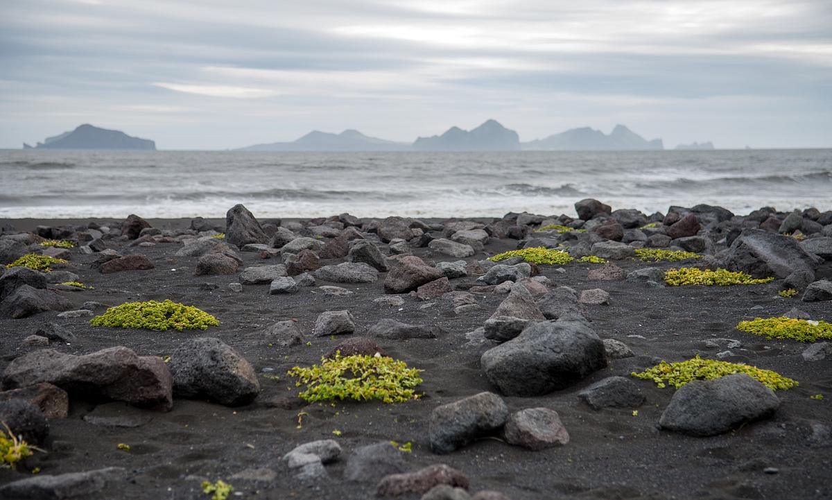 Surtsey Island