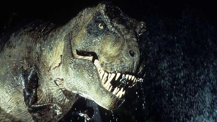 US-Forscher haben das Skelett eines schwangeren T-Rex inklusive DNA-Spuren entdeckt - Foto: tumblr/dinosaursalldamnday