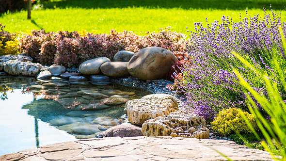 Ein Gartenteich in einem Teichbecken - Foto: iStock/YuraWhite