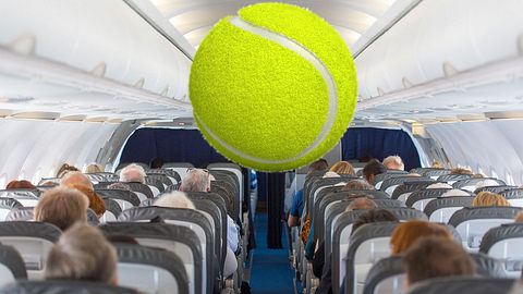 Besser immer einen Tennisball mit an Bord nehmen - Foto: iStock/AlxeyPnferov/Sashkinw (Collage Männersache)