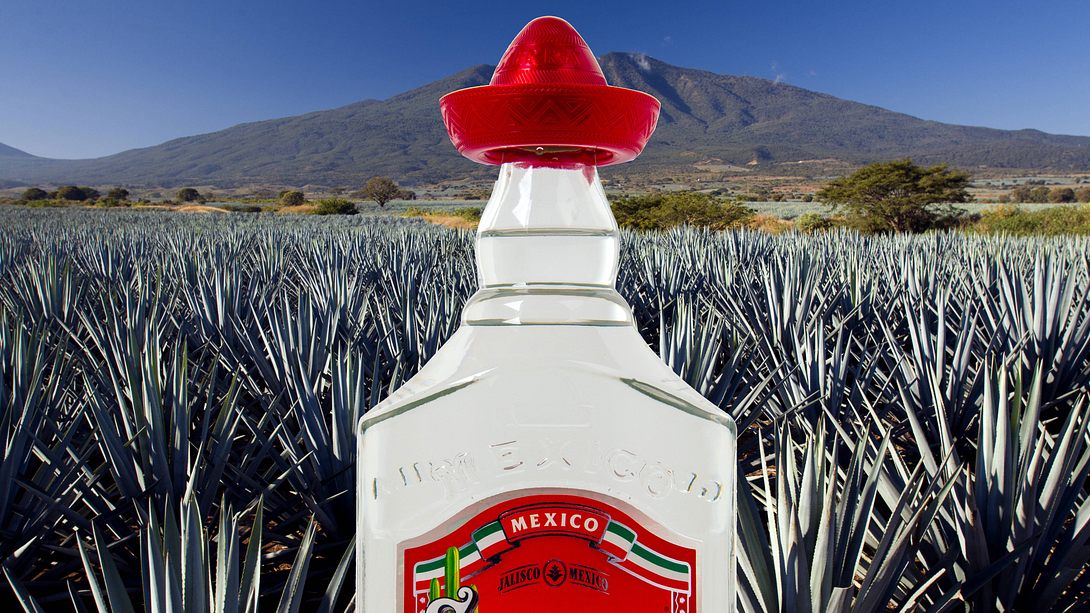 Tequila Sierra - Foto: IMAGO / imagebroker / Shotshop (Collage Männersache)