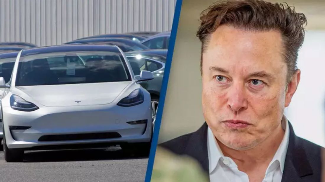 Tesla-Auto & Elon Musk