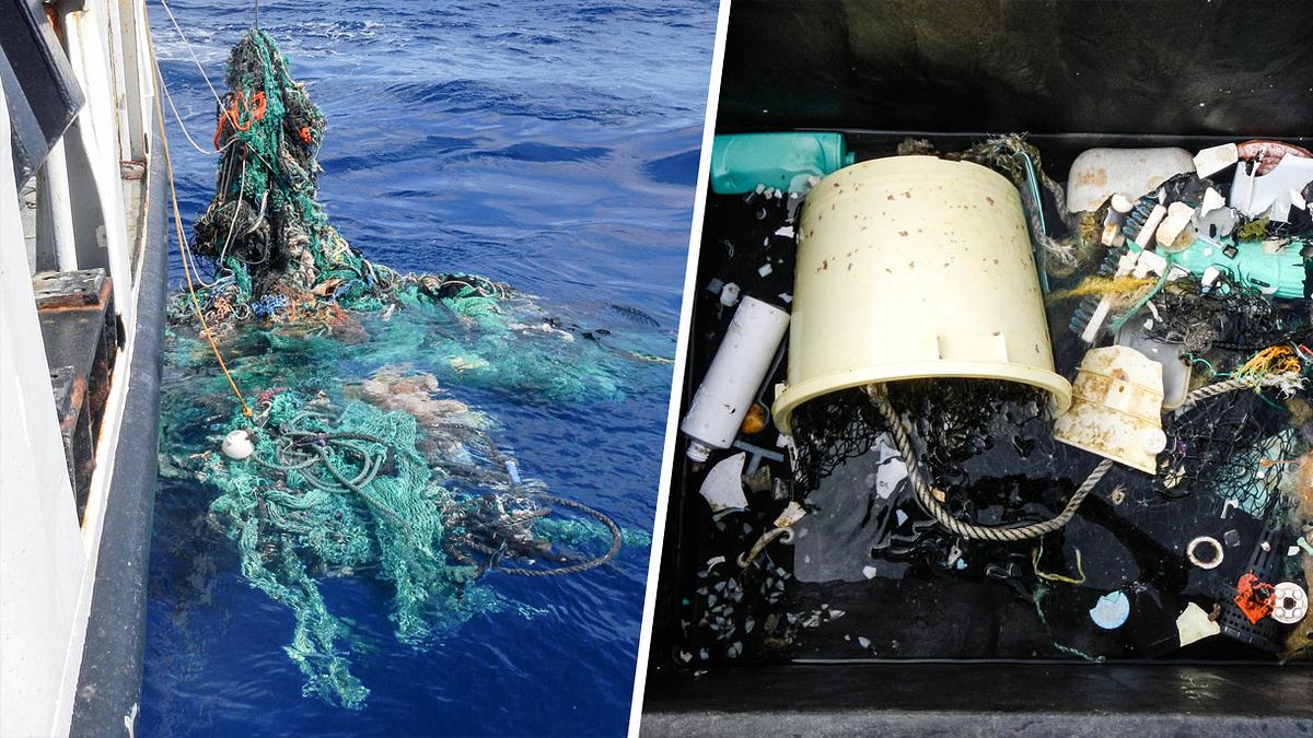 Bei Untersuchungen wurden Tonnen von Plastikmüll aus dem Meer gefischt