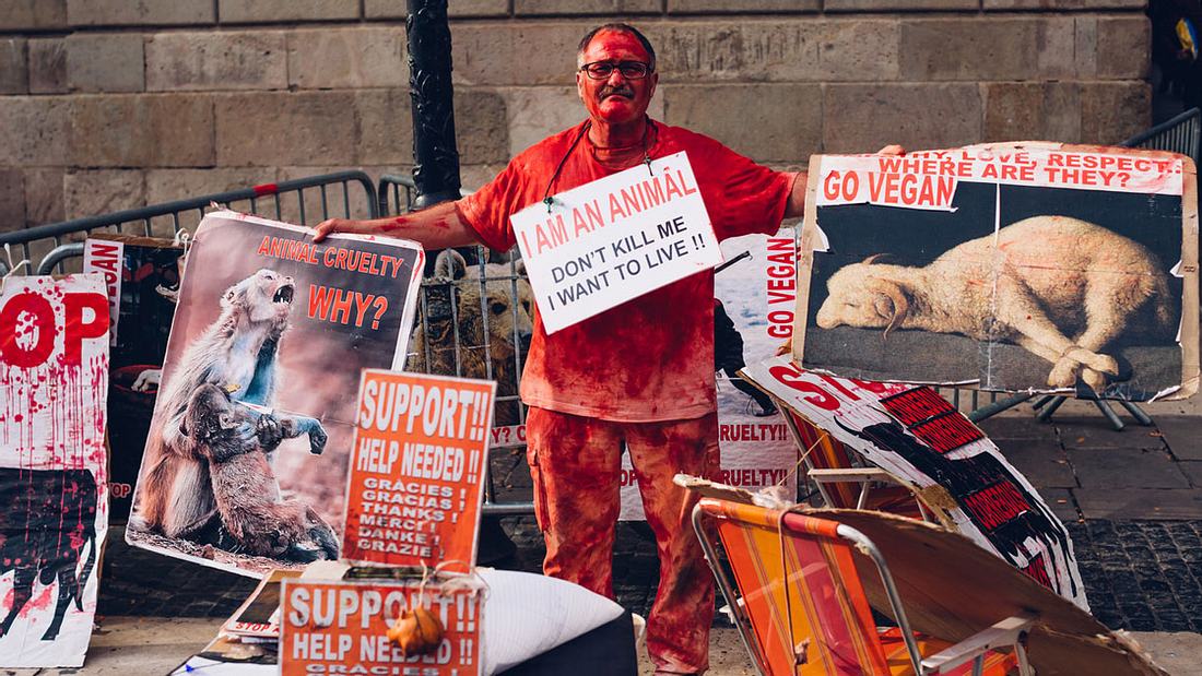 Veganer Tierschützer protestiert Veganer Tierschützer protestiert
