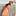 Tim Allen - Foto: IMAGO / Everett Collection