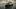 Die Titanic II soll 2018 erstmals vom Stapel laufen - Foto: Blue Star Line
