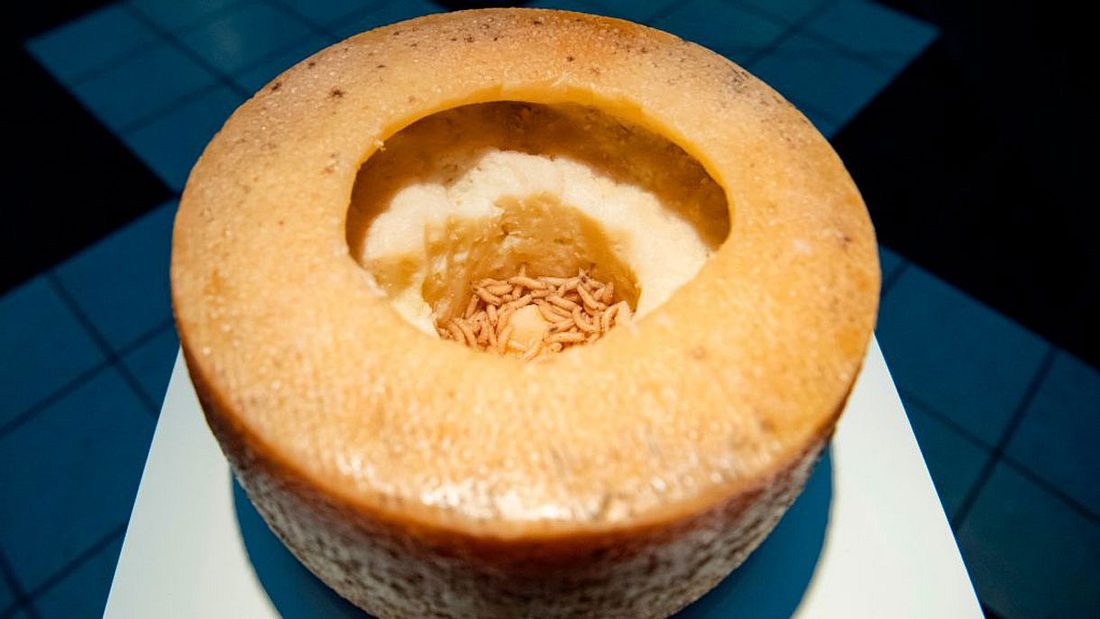 Casu Marzu Casu Marzu