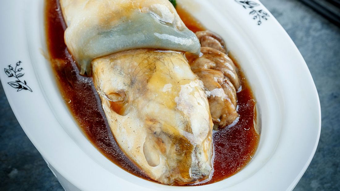 Tödliche Speisen (hier: Kugelfisch)