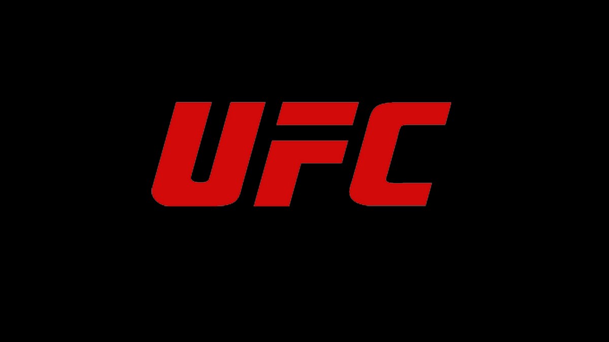 UFC: Die Geschichte der Ultimate Fighting Championship