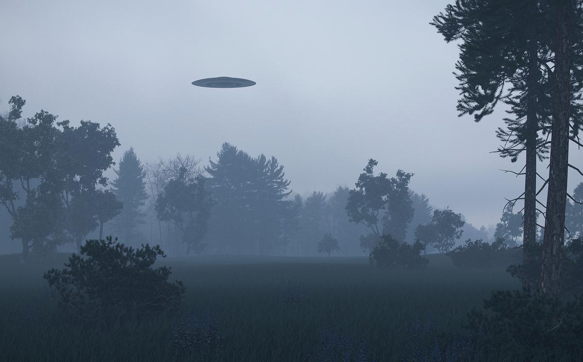Ufo über einem nebligen Waldgebiet