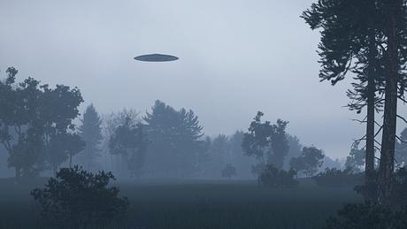 Ufo über einem nebligen Waldgebiet - Foto: iStock / ursatii