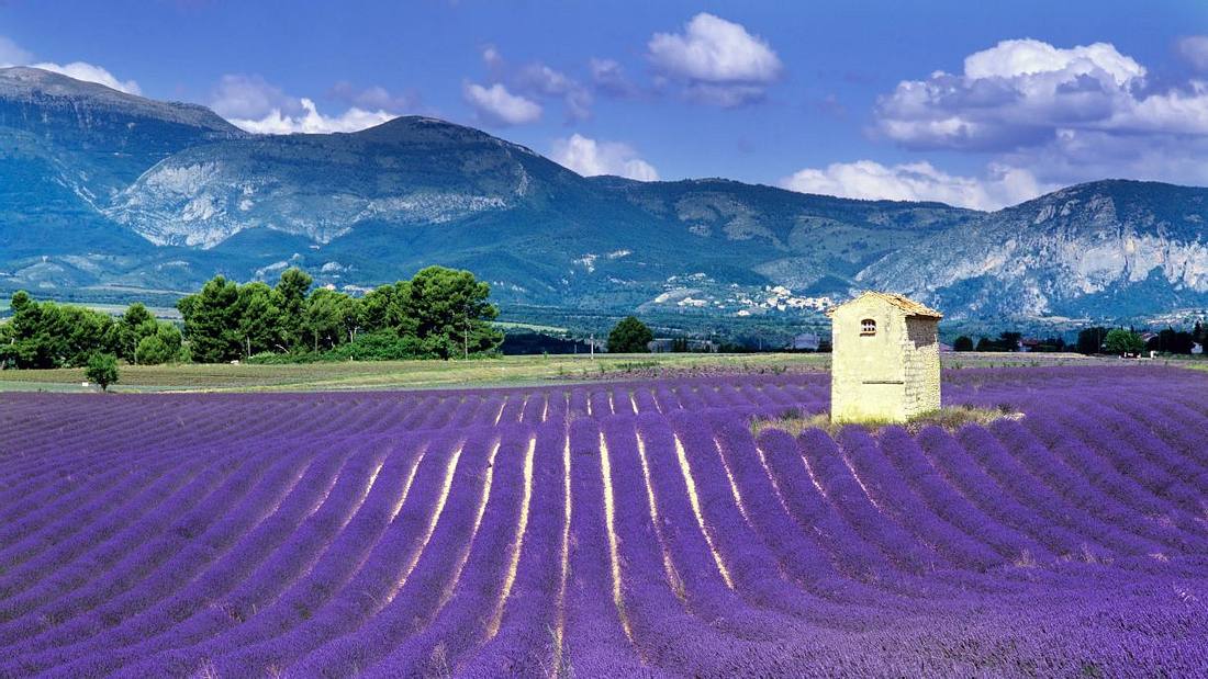 Die Provence in Frankreich. Urlaub mit Baby: Das sind die 10 besten Reiseziele