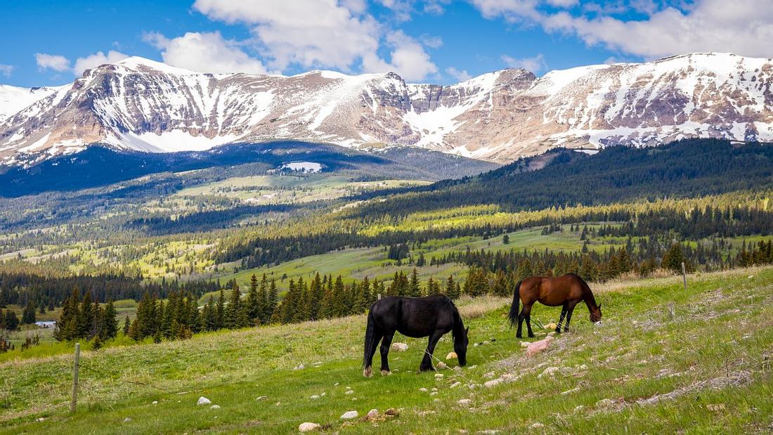 Der Glacier Nationalpark in Montana. Urlaub mit Kindern: Das sind die 10 besten Reiseziele