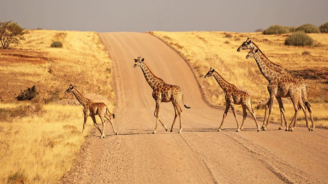 Der Urlaub mit Kindern: Das sind die 10 besten Reiseziele