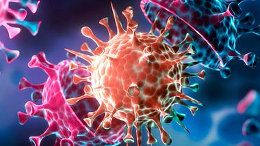 Corona-Virus - Foto: iStock/peterschreiber.media
