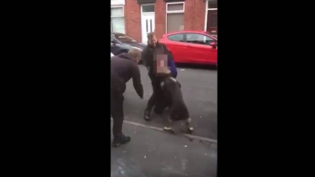 Ein Verbrecher in Manchester hat einem Polizeihund in den Kopf gebissen