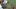 Mann wirft Streichholz in Maulwurfsgang - Foto: YouTube/Geo Fun
