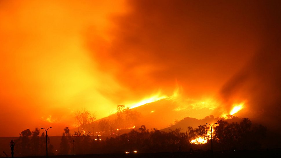 Großflächiger Waldbrand - Foto: iStock / plasticsteak1