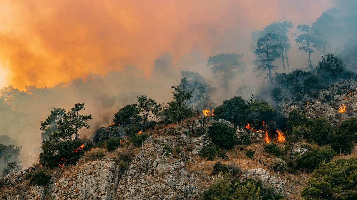 Waldbrand