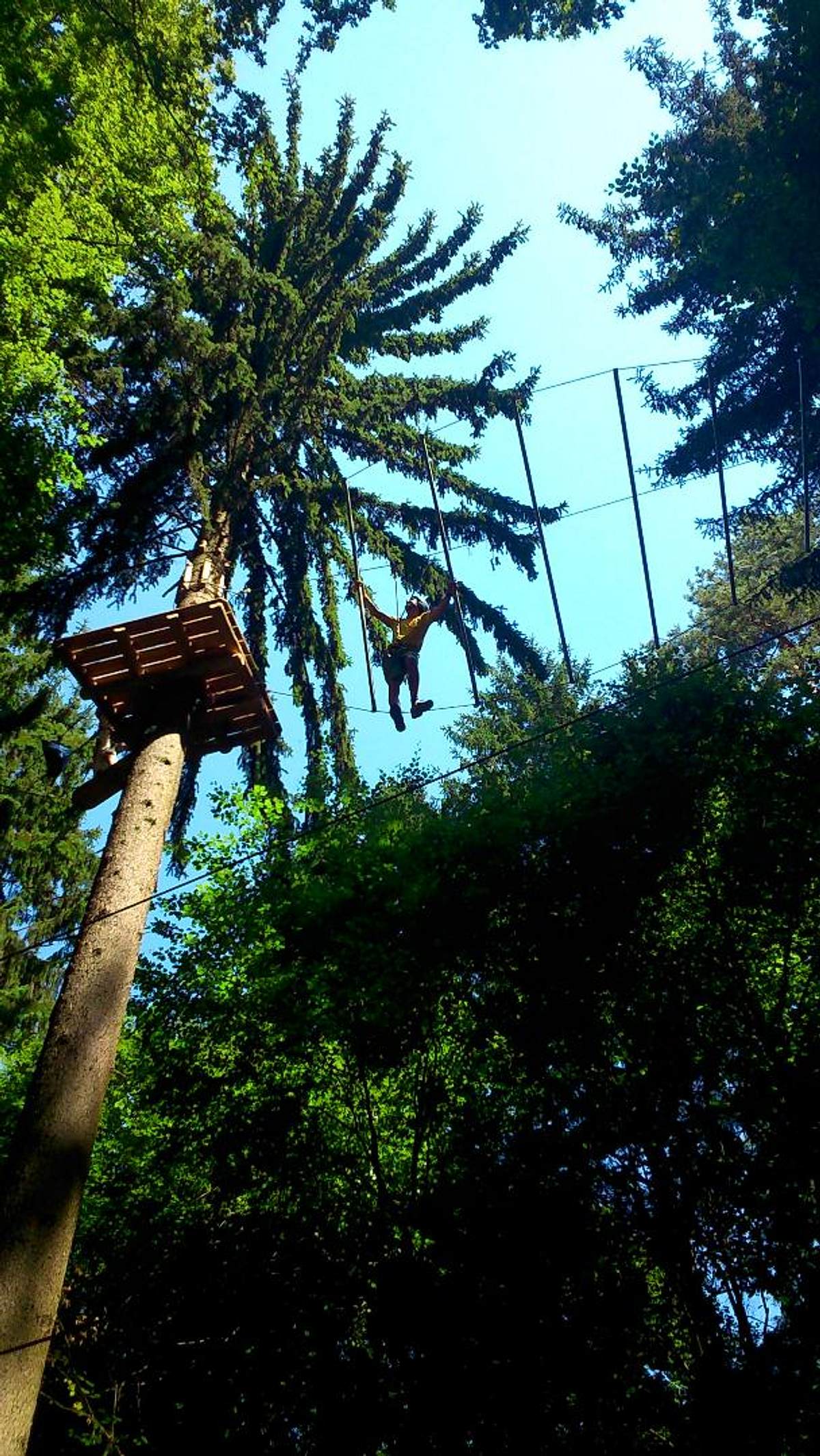 Waldkletterpark Oberbayern