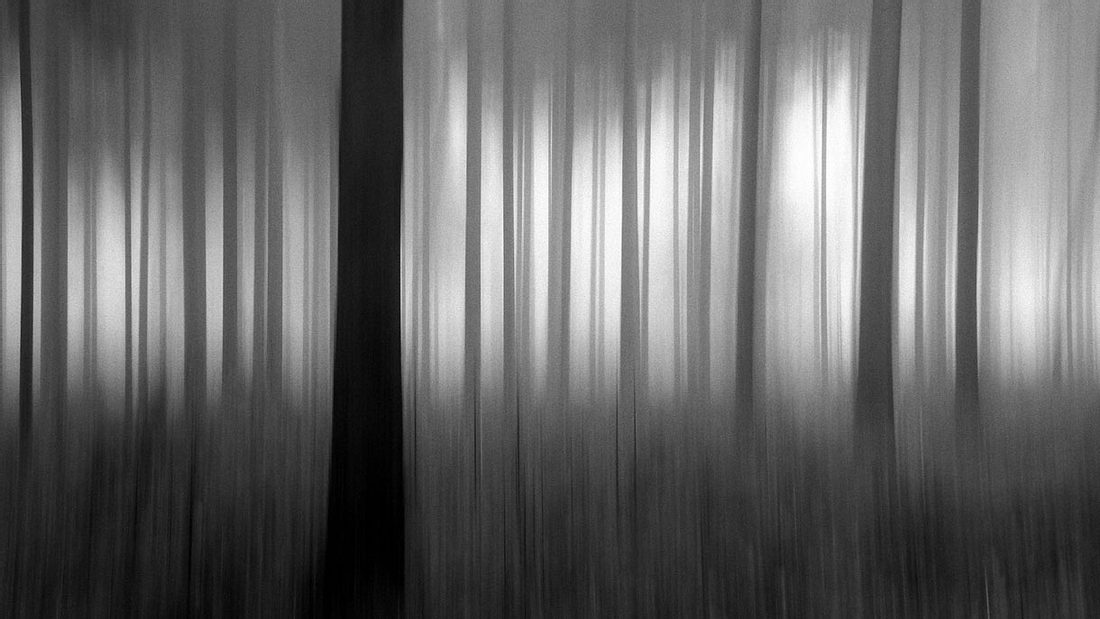 Winterwald Olympus Fotowettbewerb: Winterwald von Walter Neiger