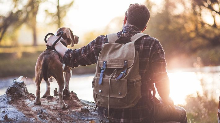 Wandern mit Hund - Foto: iStock / Kosamtu