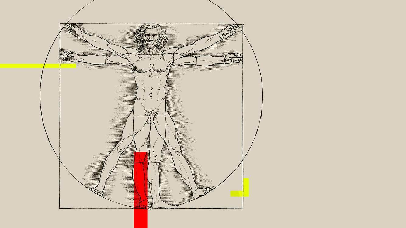Integrative Medizin - was steckt dahinter? Experte Dr. Betz klärt auf Anatomische Zeichnung
