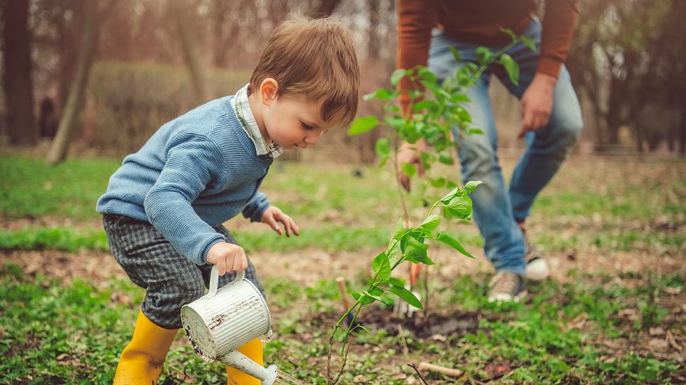 Kind mit Pflanze - Foto: iStock/ArtMarie