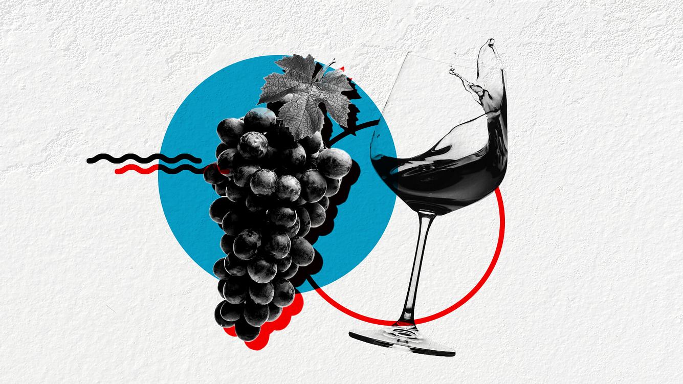 Woran erkenne ich einen guten Wein? Unsere Experten beantworten die wichtigsten Fragen zum Rebensaft Ein Glas Wein und eine Weinrebe