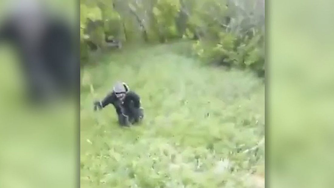 Mysteriöse Kreatur Mysteriöse Kreatur: Vermeintliche Yeti-Aufnahme erobert das Netz