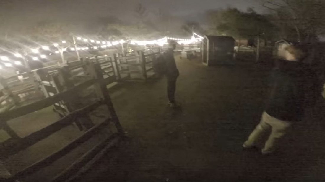 YouTuber brechen nachts in Zoo ein - Polizei-Großeinsatz YouTuber brechen nachts in Zoo ein - Polizei-Großeinsatz
