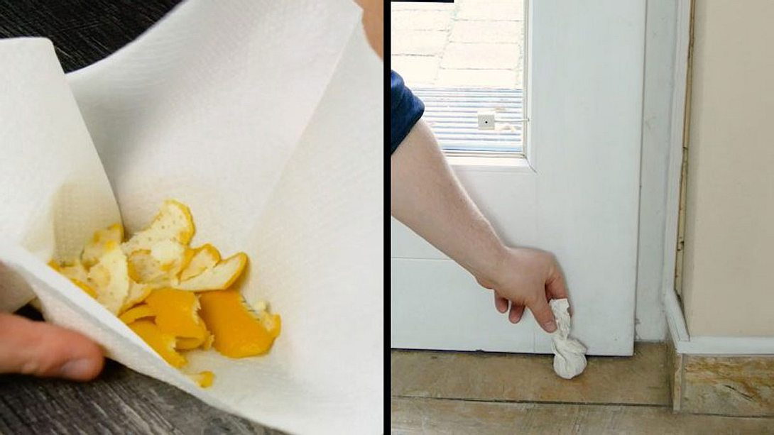 Geniale Tricks mit Zitronen für den Haushalt  - Foto: YouTube / Geniale Tricks