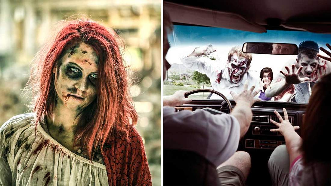 Wissenschaftliche Studie Geh Aufs Land Wenn Zombies Kommen